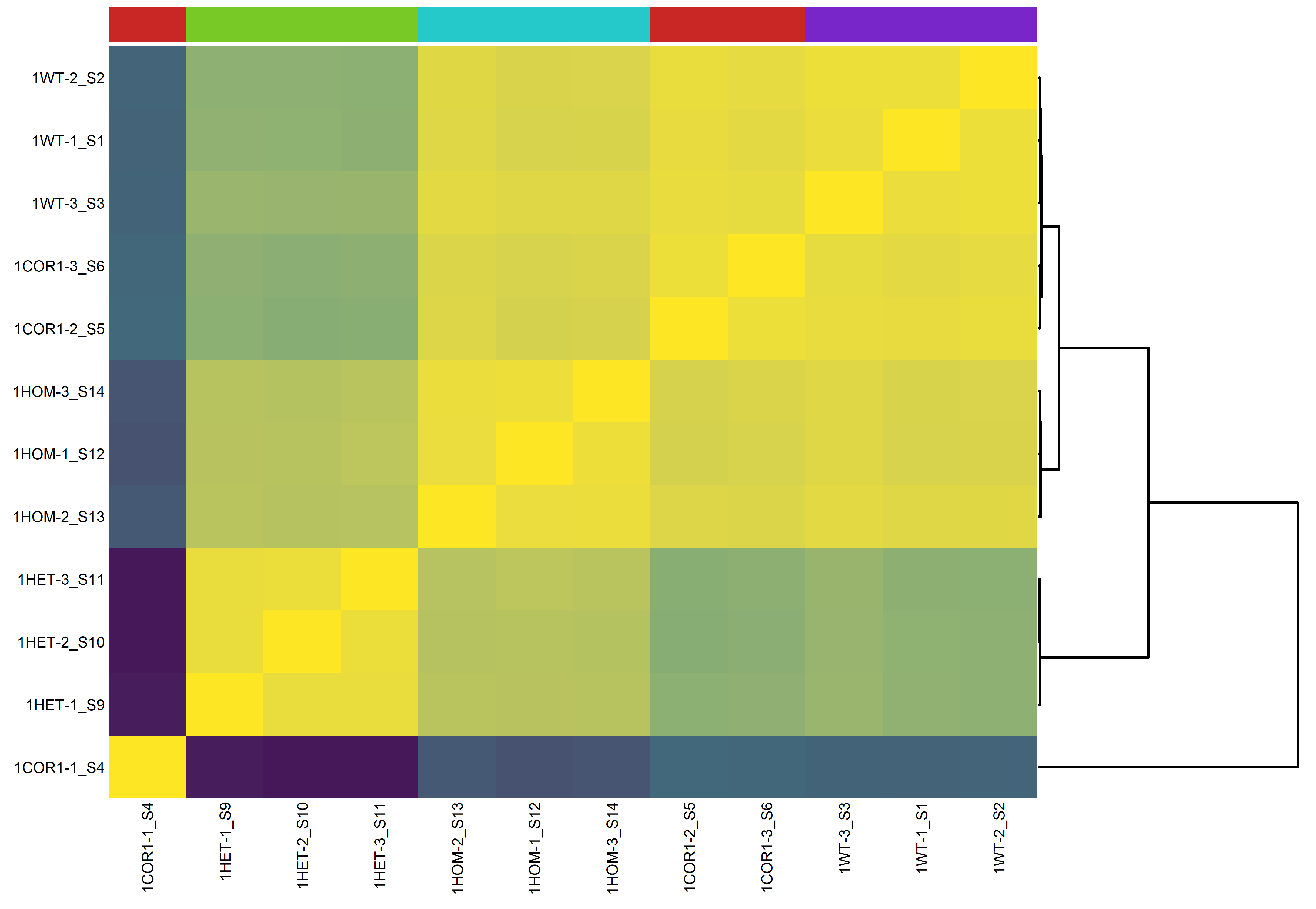Bad Sample-Sample Correlation Heatmap