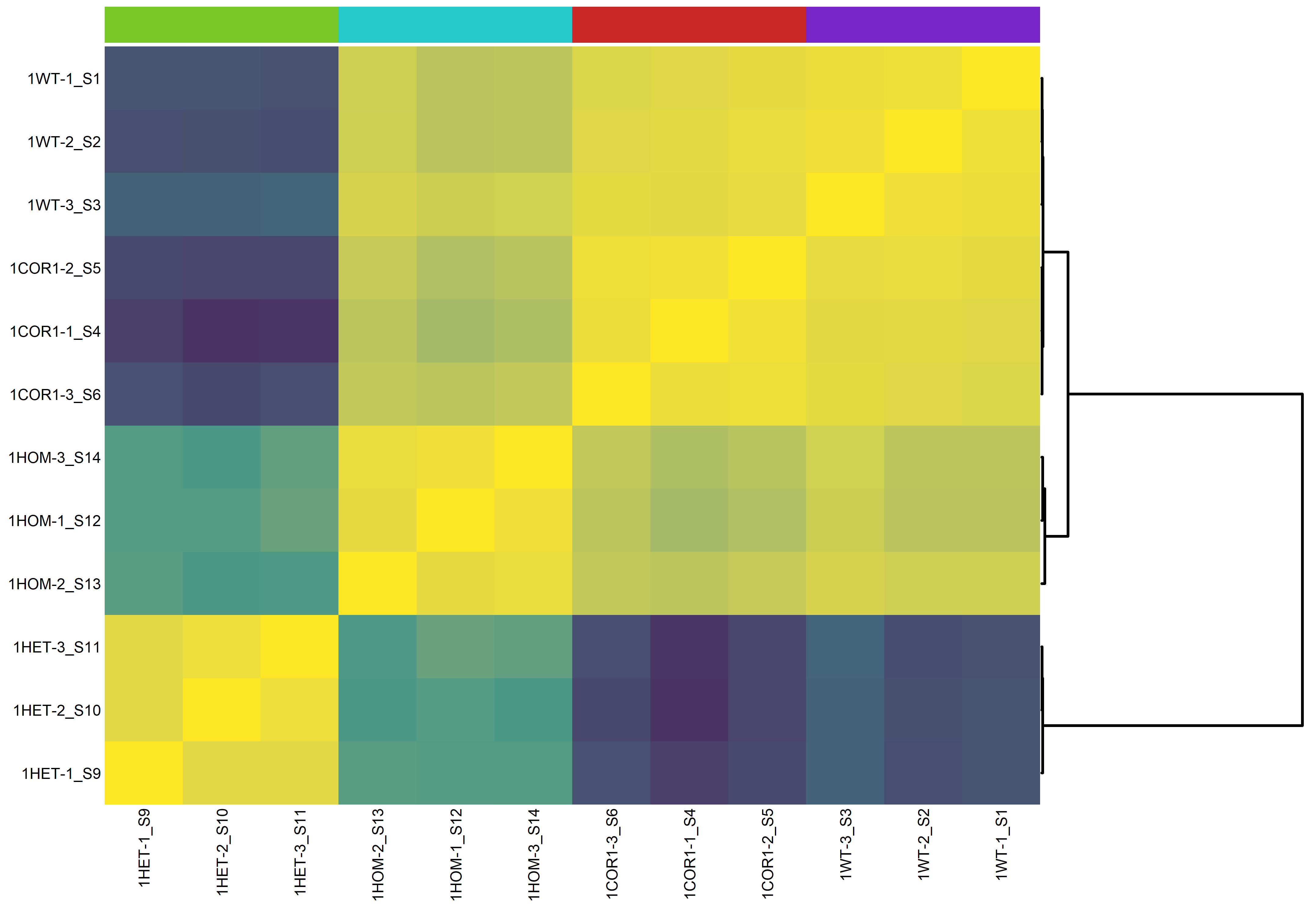 Good Sample-Sample Correlation Heatmap