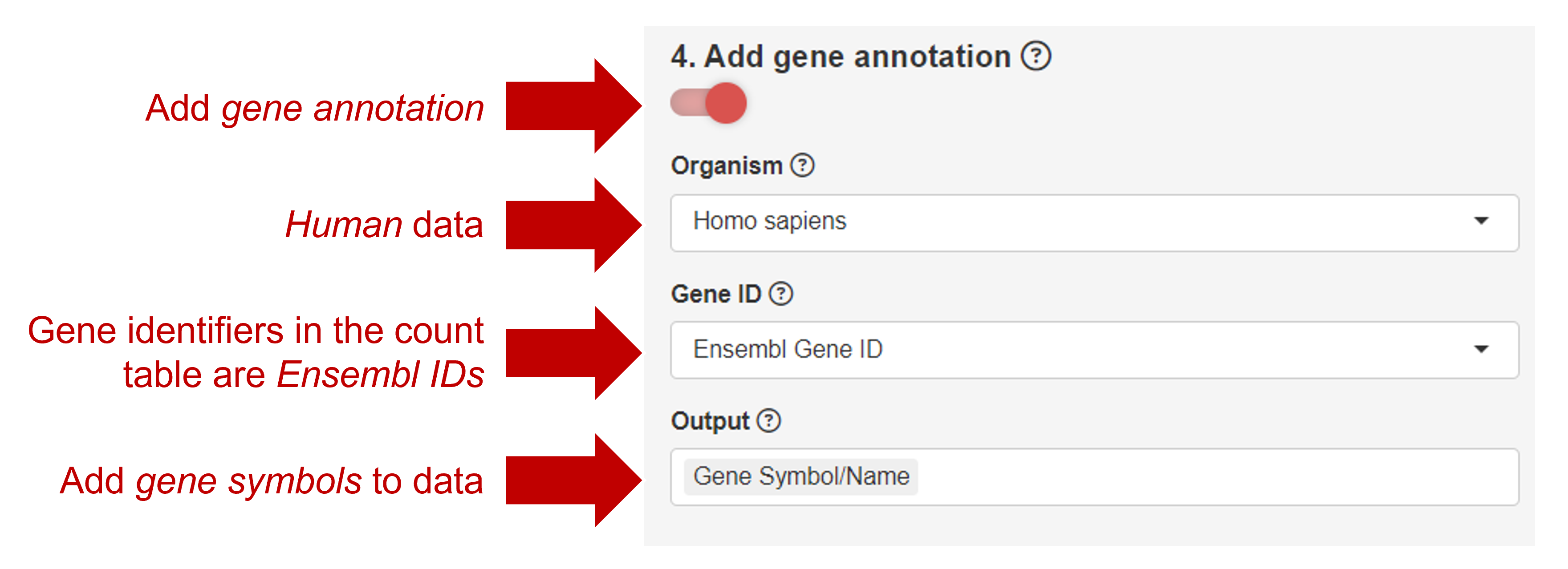 Gene annotation