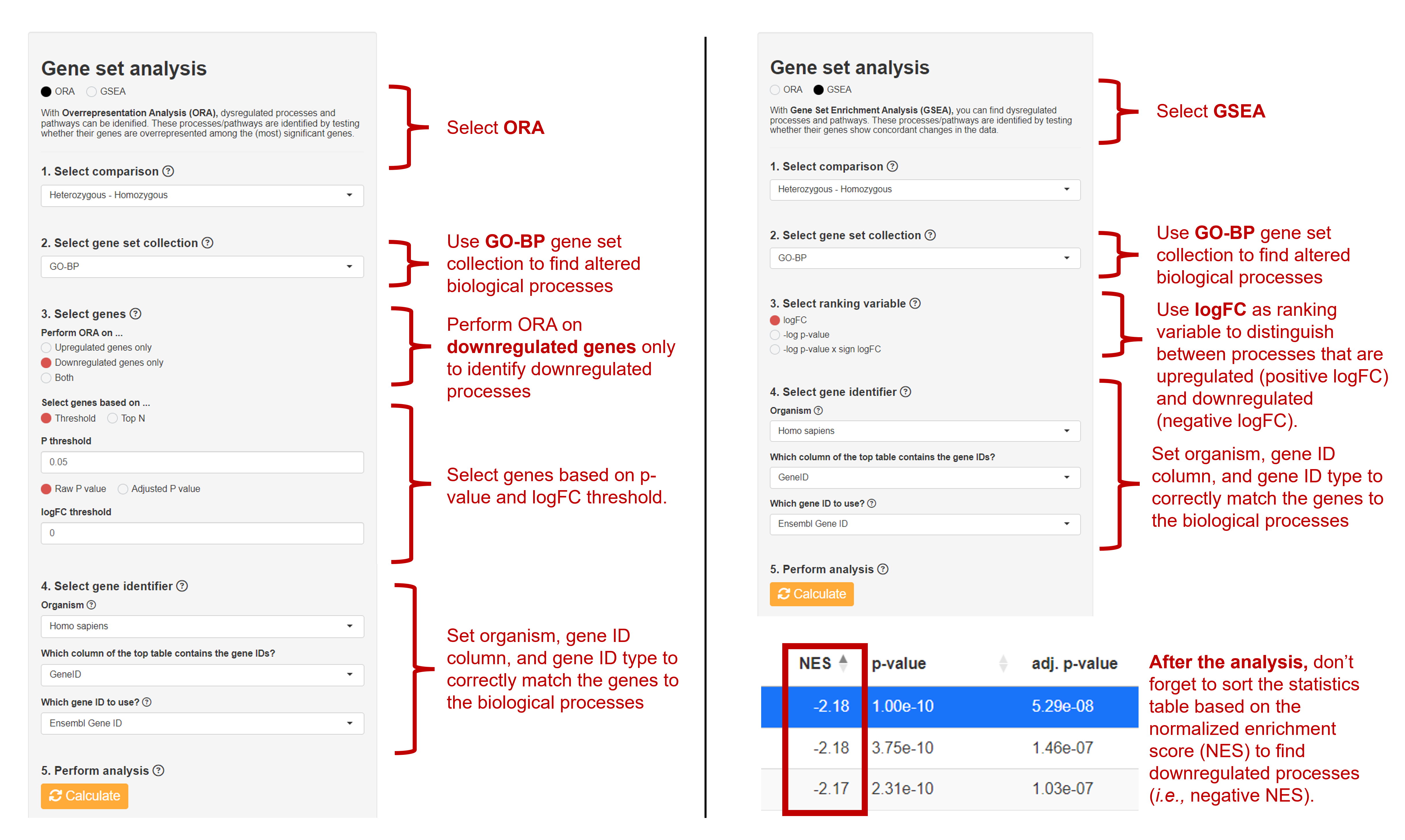 Gene Set Analysis
