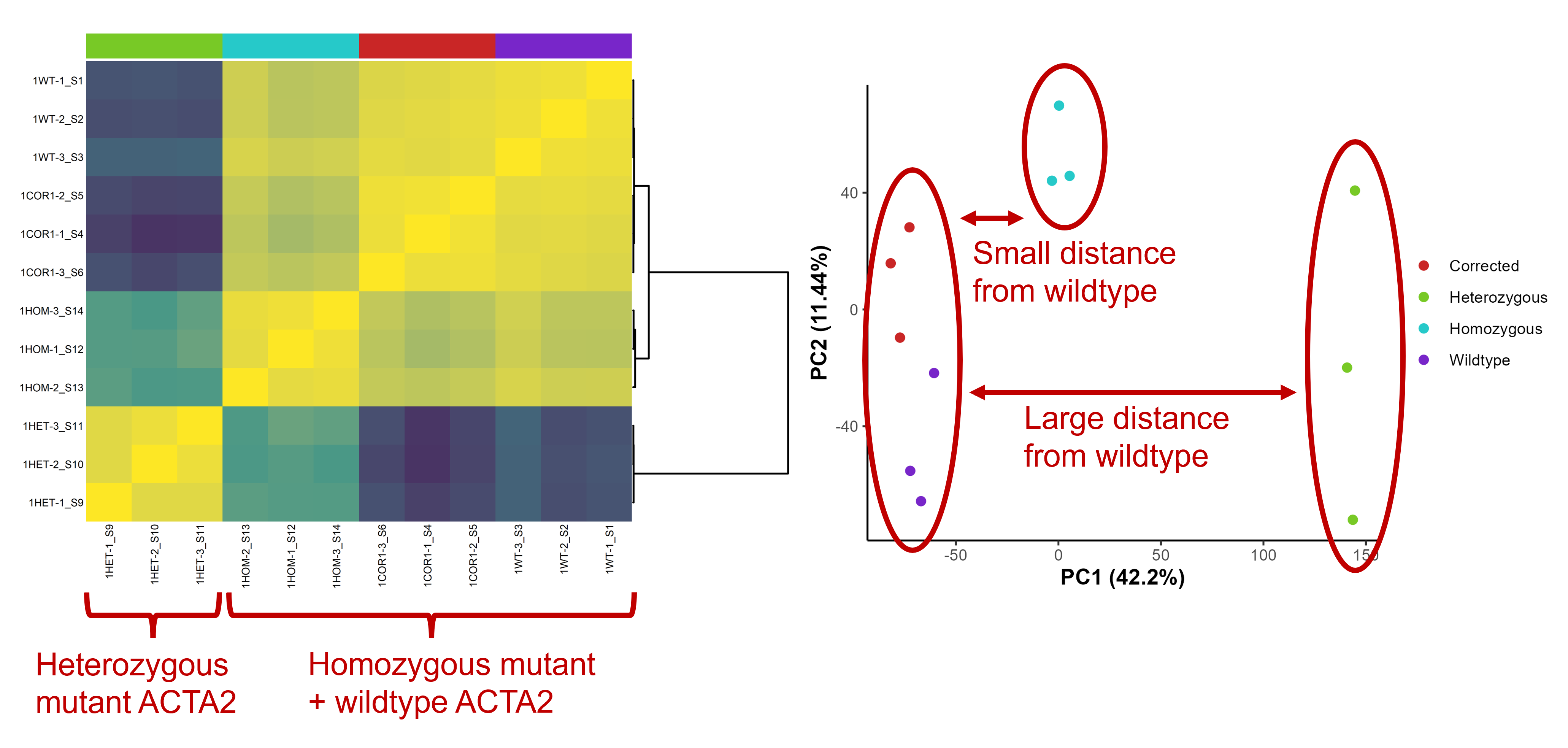 Sample clustering